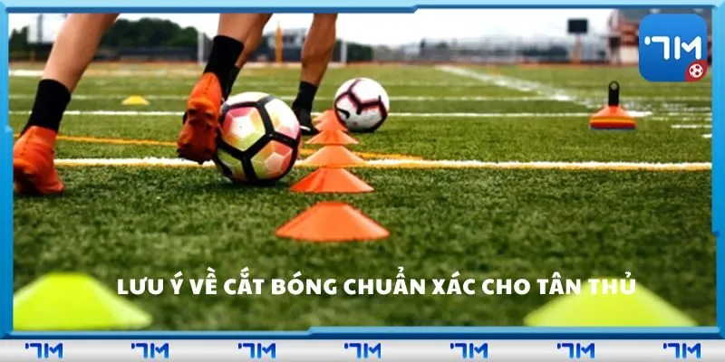 Lưu ý về cắt bóng cho tân thủ