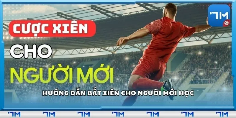 Hướng dẫn bắt xiên cho người mới học