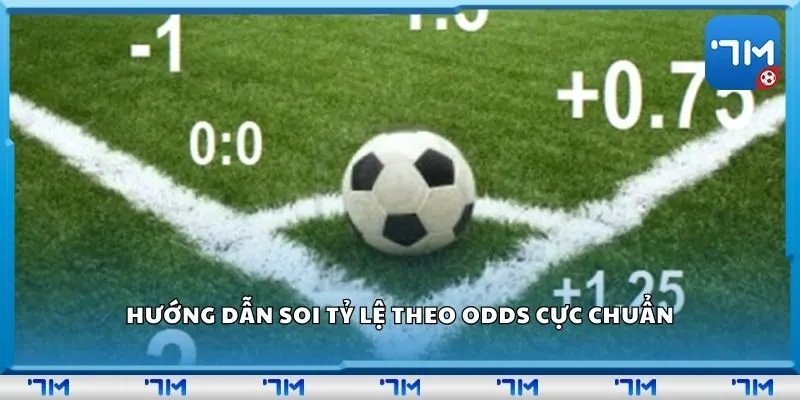 Hướng dẫn soi tỷ lệ theo odds cực chuẩn
