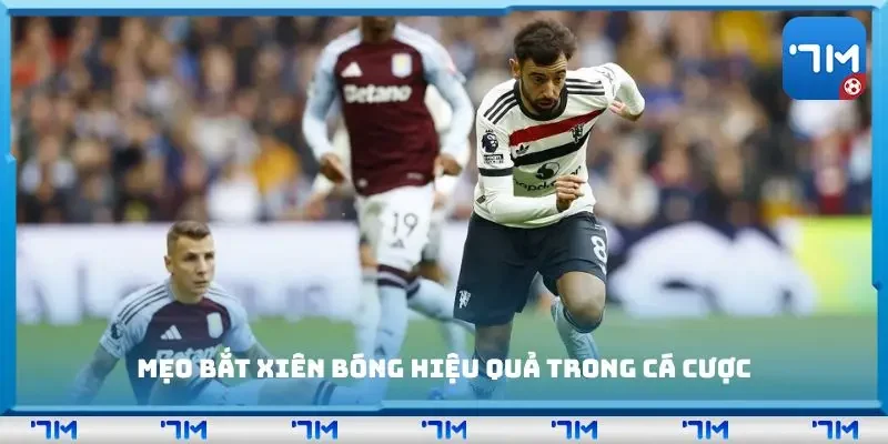 Mẹo bắt xiên bóng hiệu quả trong cá cược
