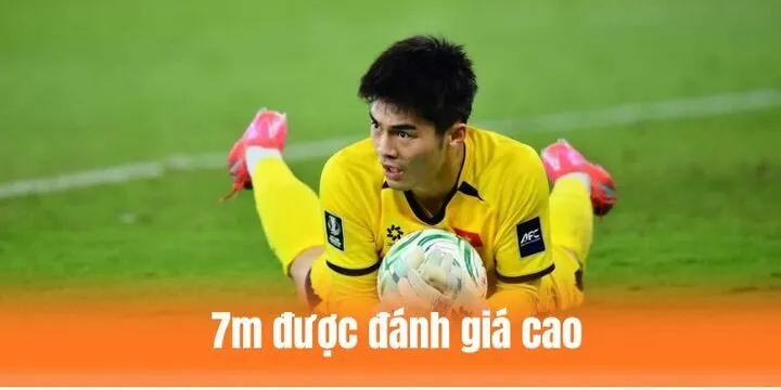 Tổng quan về thương hiệu 7m cho người mới